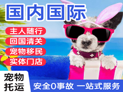 兴义万峰林机场快递国际宠物托运 【国